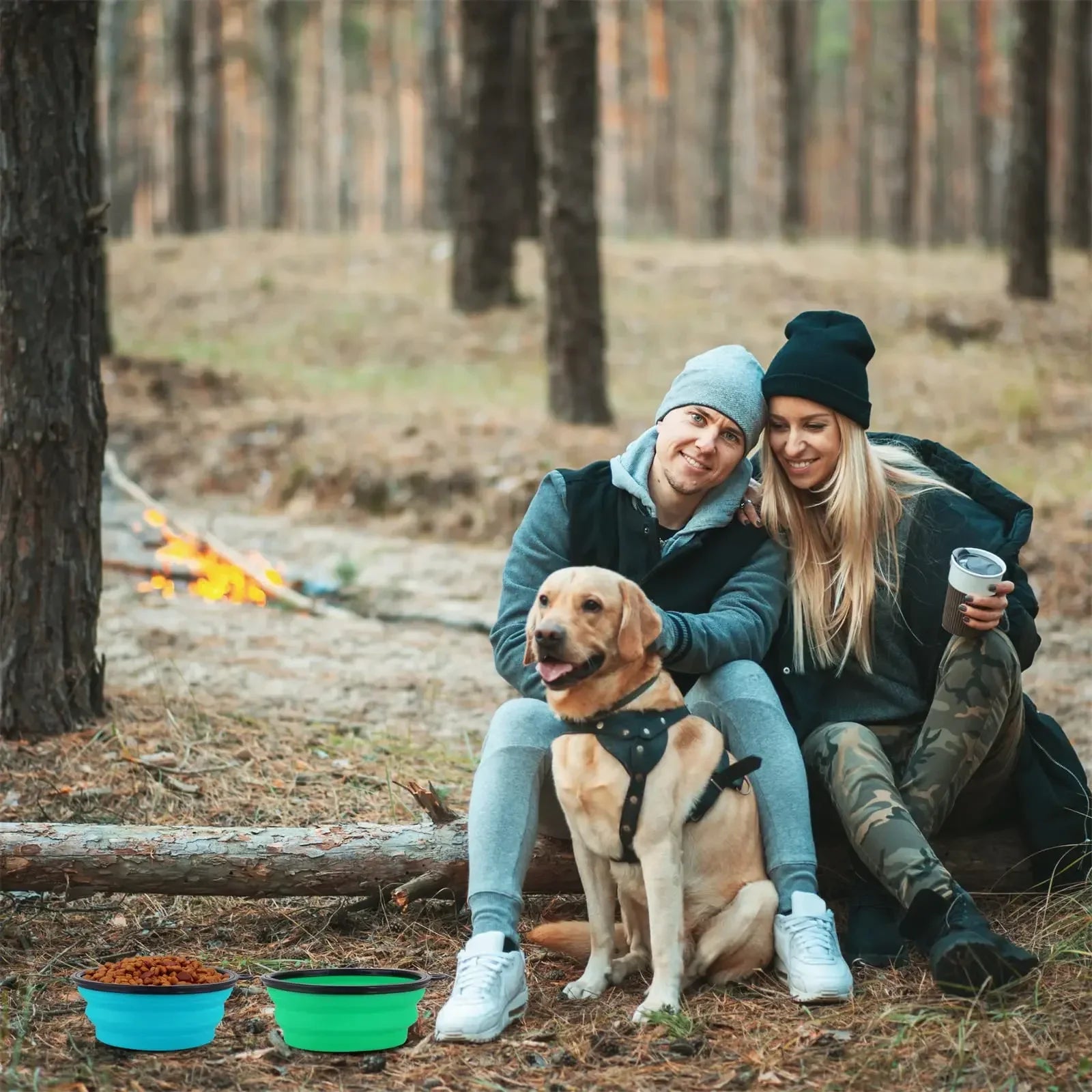 Pet Collapsible Black Frame Bowl Keychain Portable Travel Food Water Dish Dog Cat BPA Free Silicone Lightweight Pet Feeding Bowl